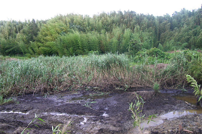 着工前 鮎原中邑谷企業用地造成工事